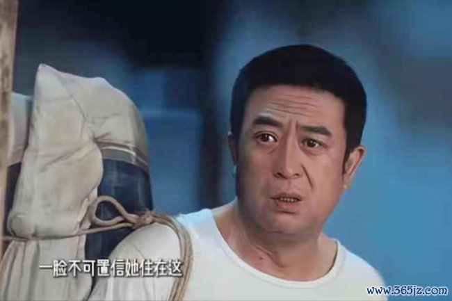 白鹿演技 争议与热度并存