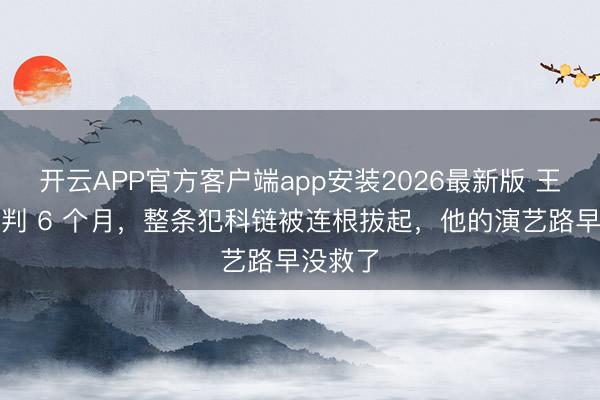 开云APP官方客户端app安装2026最新版 王大陆被判 6 个月，整条犯科链被连根拔起，他的演艺路早没救了