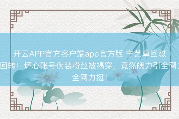 开云APP官方客户端app官方版 宁艺卓回怼争议回转！坏心账号伪装粉丝被揭穿，竟然魄力引全网力挺！